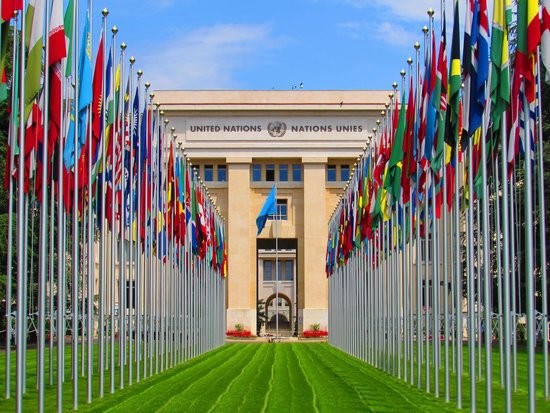 Art Impact 4 Health & SDGs Exhibit: a delegation of the Dicastery at the UN in Geneva